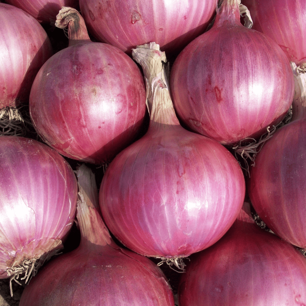 onion