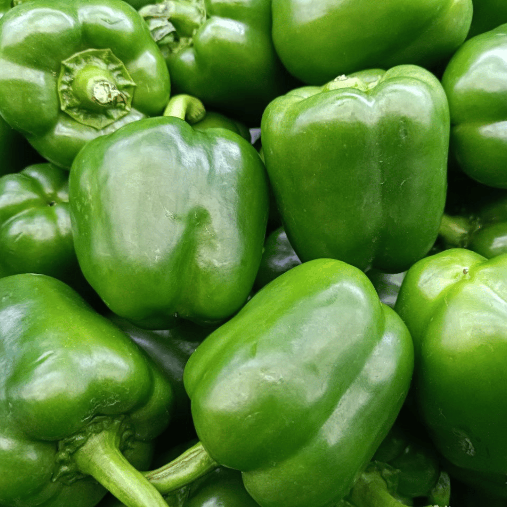 capsicum